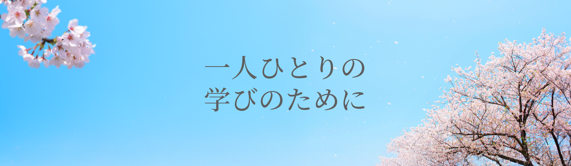 桜【3月-４月】